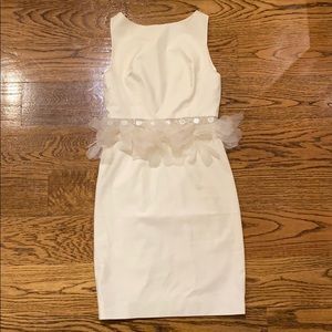 Alice and Olivia feather dress